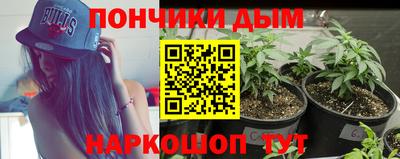 гидра Кингисепп