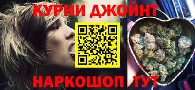 гидра Кингисепп