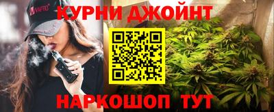гидра Кингисепп