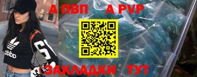 гидра Кингисепп