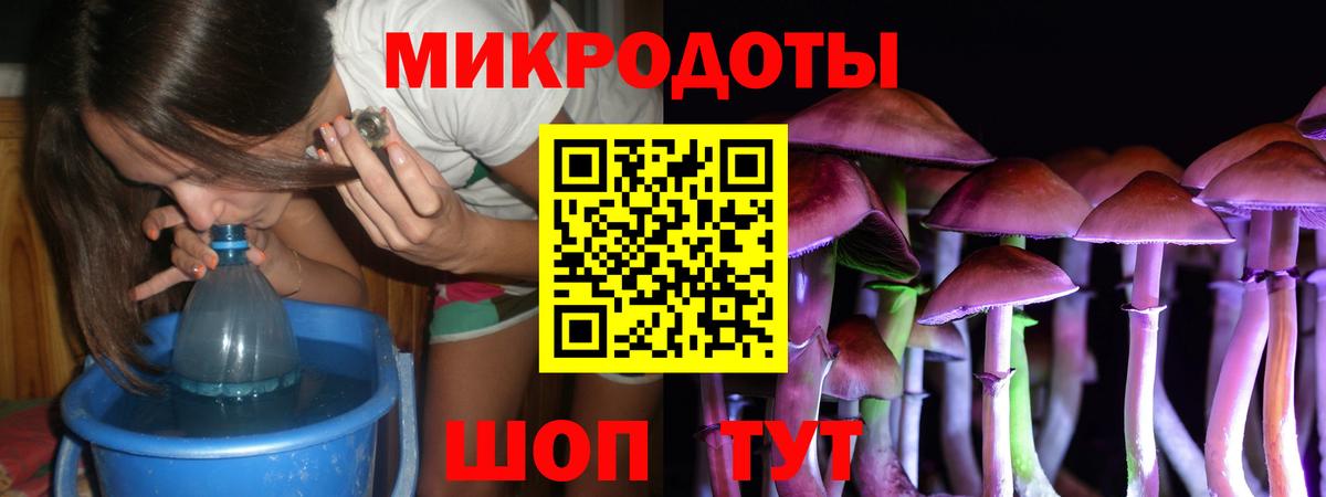 сколько стоит  Вход с VPN  Кохма  Галлюциногенные грибы Cubensis 